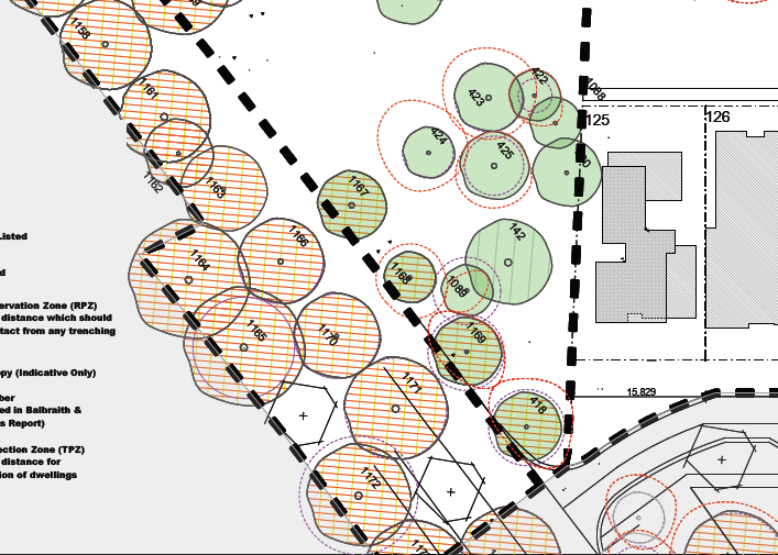 Stage 3A Tree
                                            Protection Plan Sth
                                            Boundary