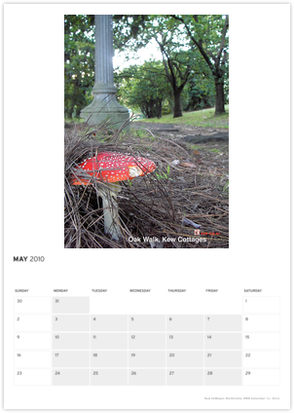 Calendar May 2010