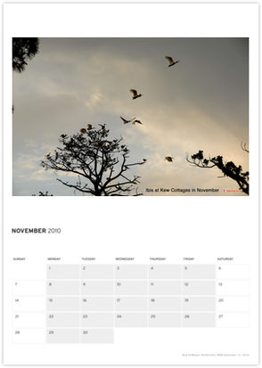 Calendar November 2010